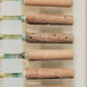 Meet your Posher, Ellen